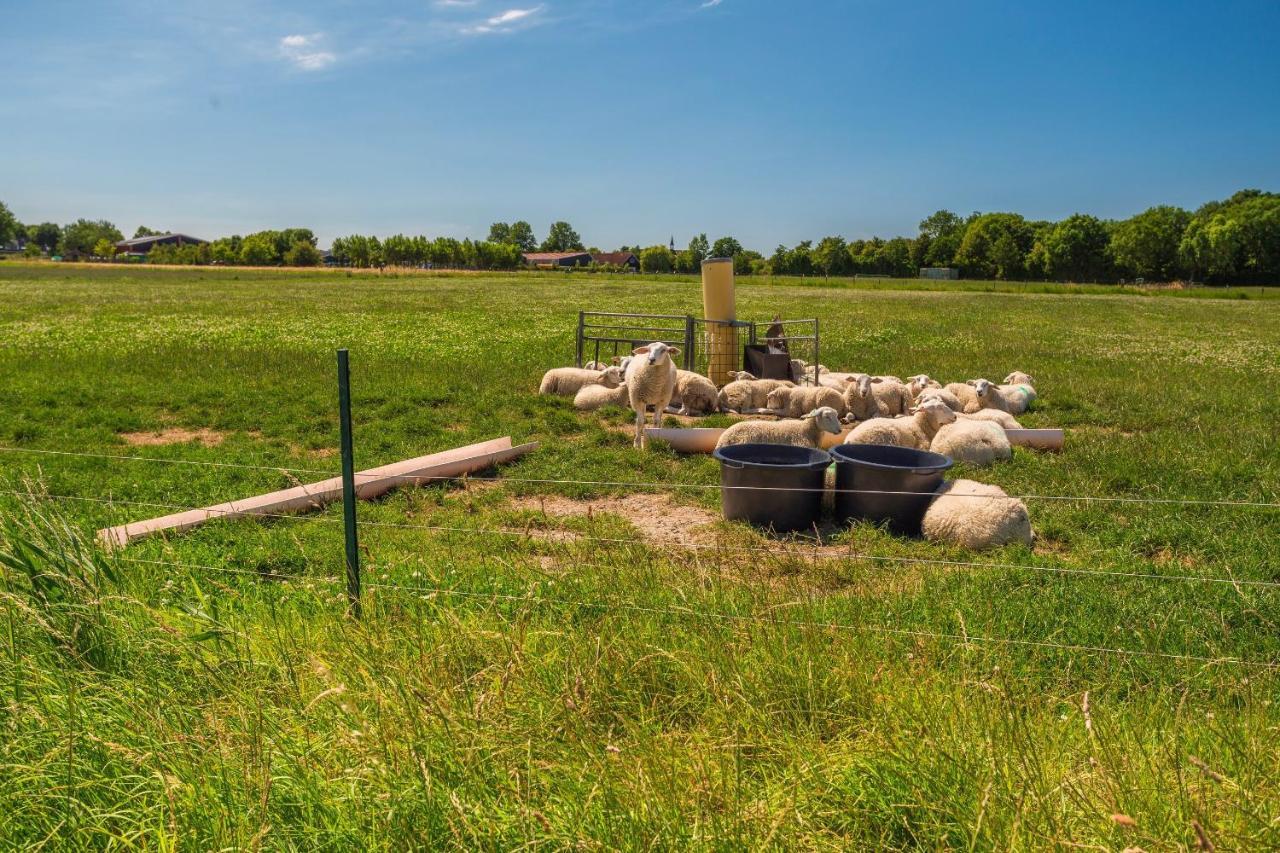 Vakantiewoning De Koekoek Aagtekerke Luaran gambar